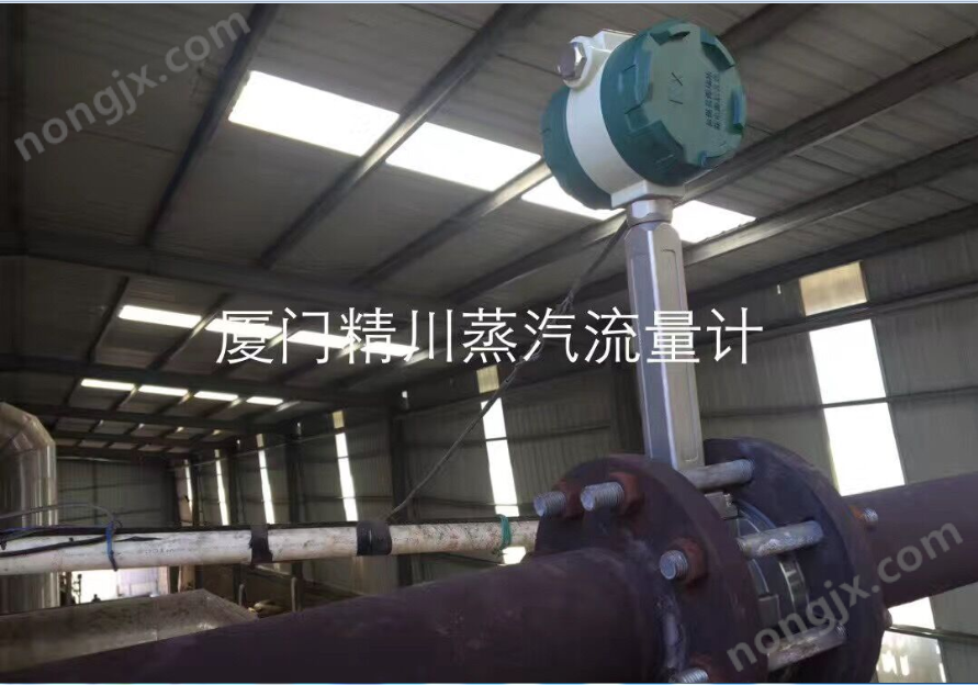 蒸汽流量表